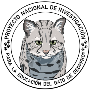 Proyecto de ciencia ciudadana buscará profundizar el conocimiento del Gato de Geoffroy