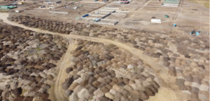 Relleno del Humedal Puente Negro: ad portas de la consolidación de un desastre ambiental